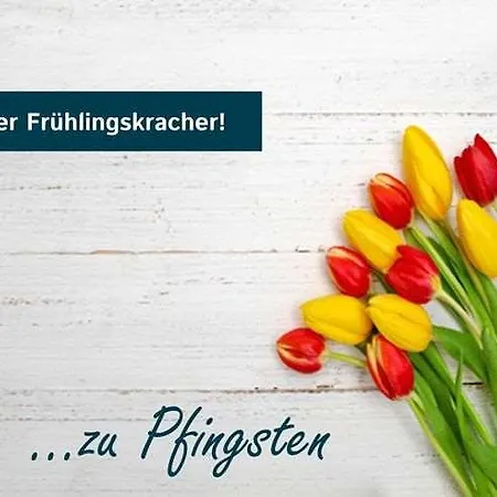 מלון Good Morning+ Halle Leipzig Kabelsketal
