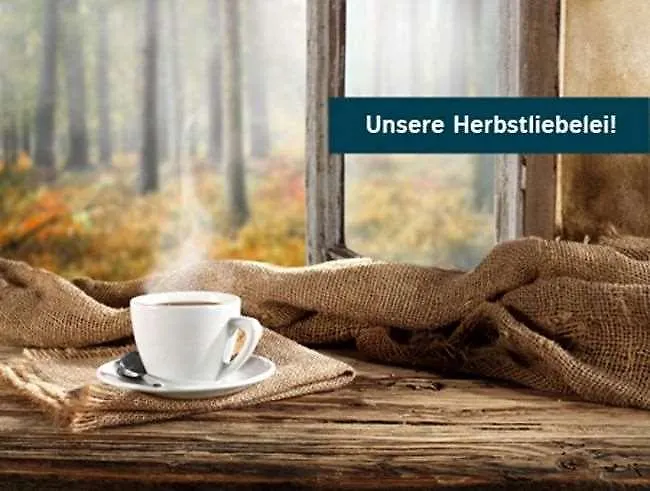 Good Morning+ Halle Leipzig